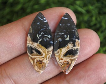 Fossilized Palmwood Stone Earring Pair