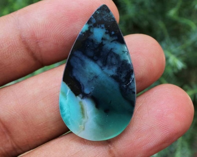 Blue Opalized petrified wood