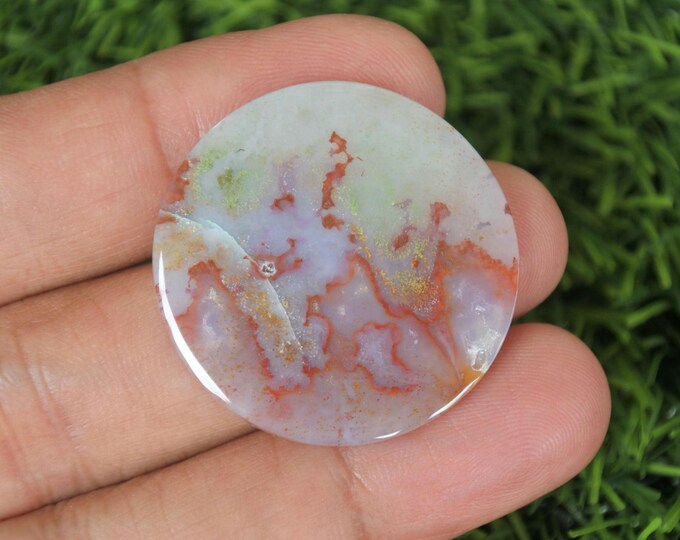 Multicolor Opalized Wood