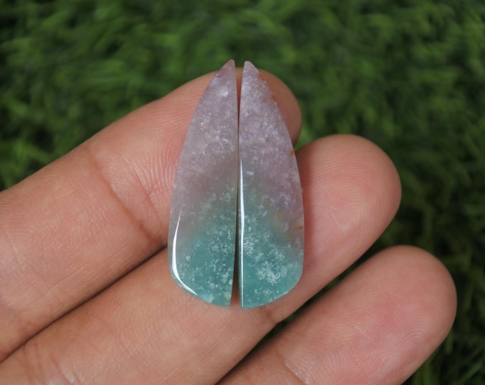 Opalized Wood Earring Pair