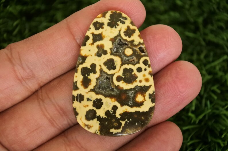 May include: A polished, teardrop-shaped gemstone with a unique pattern. The stone features a creamy yellow base color with dark brown, flower-like patterns. The center has a darker, textured area. The gemstone is held in a hand.