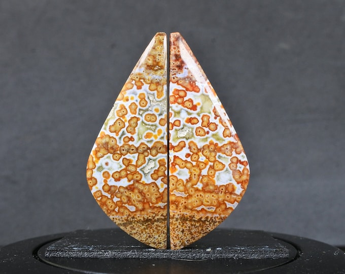 Multicolor Ocean Jasper Earring Pair