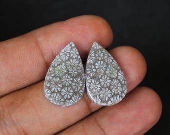 Paire de boucles d'oreilles en agate corail