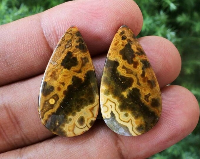 Multicolor Ocean Jasper Earring Pair