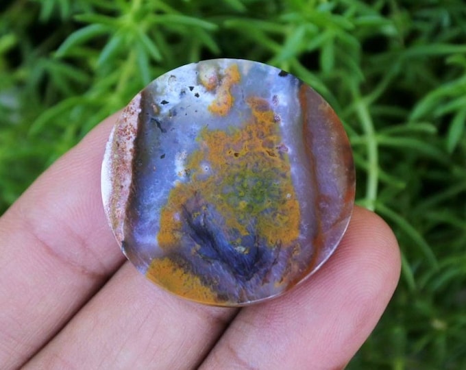 Multicolor Opalized wood