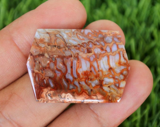 Fossilized Palmwood , Agate rock,Agate stone, Malachite Gemstone,Mohs scales of mineral hardness,Agate crystal meaning,Tree agate