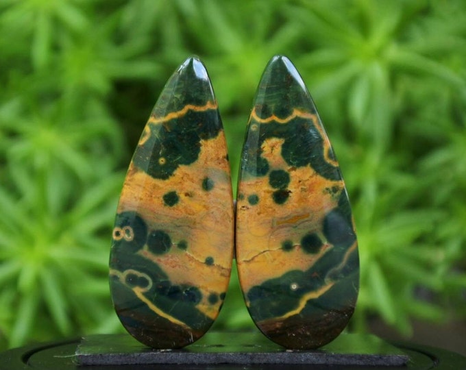 Ocean Jasper Earring Pair
