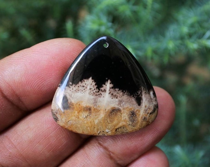 Fossilized Black Palm Tree