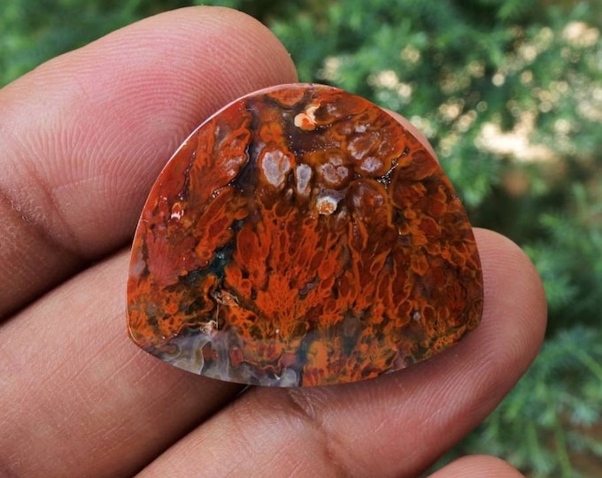 Plume Multicolor Opalized Petrified Wood
