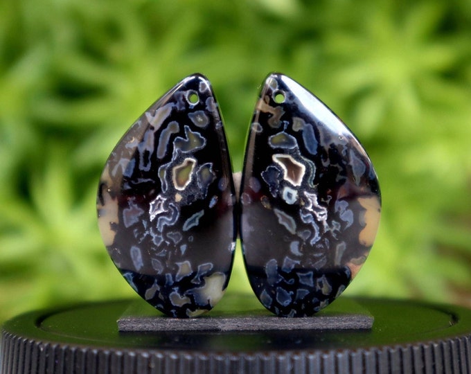 Fossilized Black Palm Tree Earring Pair