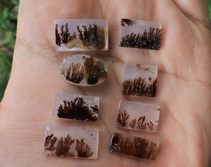 Dendritic agate,Agate rock,Malachite Gemstone,Mohs scales of mineral hardness,Agate crystal meaning,Larima gemstone,Flower agate,Tree agate