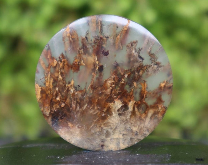 Stick Agate