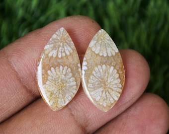 Coral Agate Pair: Gemstone Cabochons (23mm)