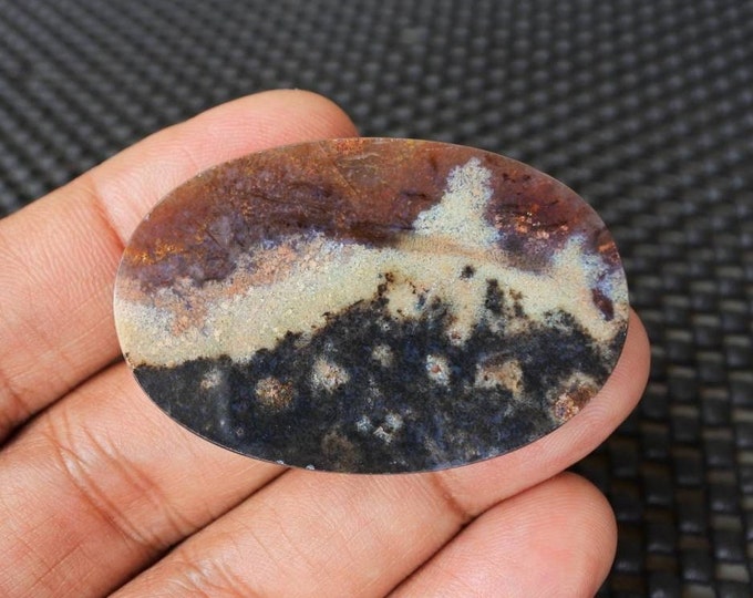 Opalized Petrified Wood