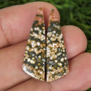 Puede incluir: Dos piezas de piedras preciosas pulidas. Las piedras son triangulares, con una base de color verde oscuro y marrón, salpicadas de manchas blancas y beige. Las puntas son una mezcla de rosa y naranja.