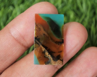 Blue Opalized petrified wood