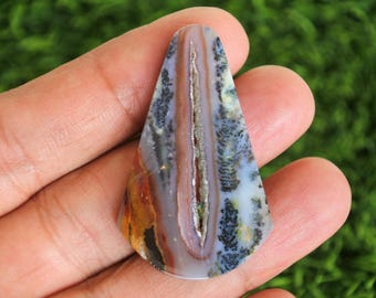 Opalized Wood