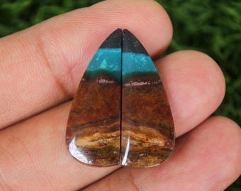 Opalized Wood Earrings