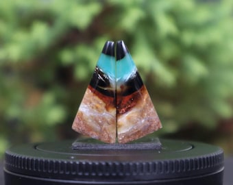 Opalized Wood Earrings