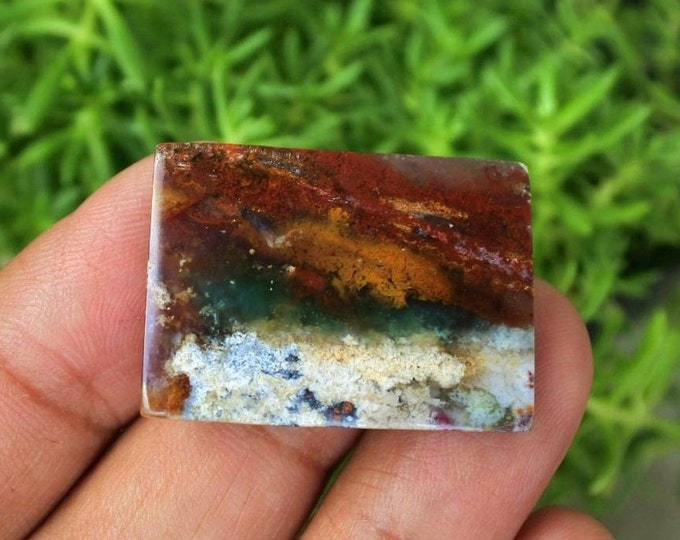 Opalized petrified wood