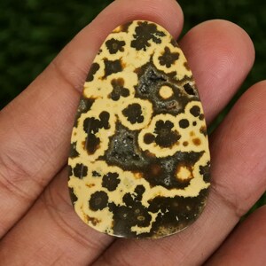 May include: A polished, teardrop-shaped gemstone with a cream-colored base and dark brown, floral-like patterns. The stone has a natural, organic appearance, with a slightly rough texture and a dark, central cavity.