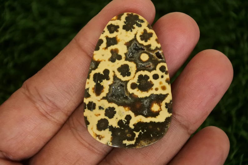 May include: A polished, teardrop-shaped gemstone with a cream-colored base and dark brown, floral-like patterns. The stone has a natural, organic appearance, with a slightly rough texture and a dark, central cavity.