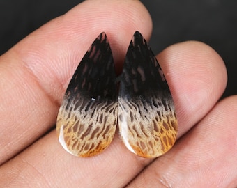 Fossilized Black Palm Tree Earring Pair