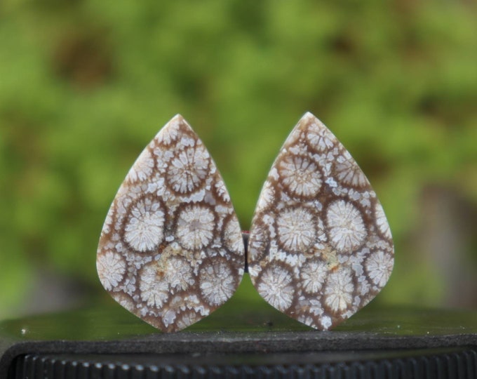 Coral agate pair,Agate rock,Agate stone, Malachite Gemstone,Agate crystal meaning,Larima gemstone,Flower agate,Tree agate,Fire agate