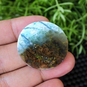Plume Multicolor Opalized Petrified Wood