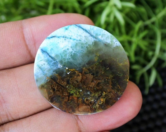 Plume Multicolor Opalized Petrified Wood