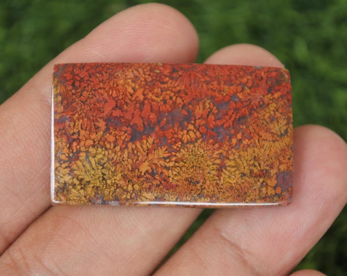 Multicolour Plume Jasper