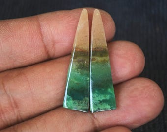 Opalized Wood Earrings