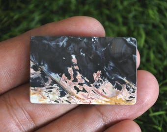 Fossilized Palmwood Gemstone,Petrified Wood