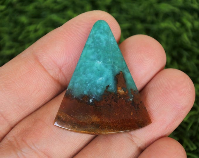 Blue Opalized Wood
