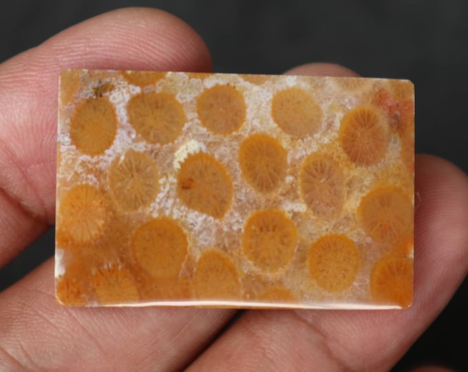 Coral agate,Agate rock,Agate stone, Malachite Gemstone,Agate crystal meaning,Larima gemstone,Flower agate,Tree agate,Fire agate