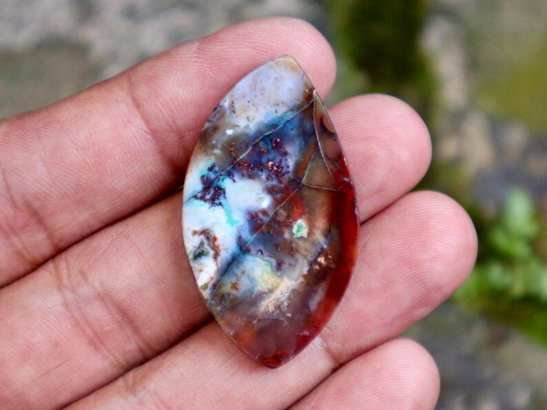 Multicolor Opalisierte Holzscheibe: Java Jaspis, Crazy Lace Achat (42 mm) Bild 1