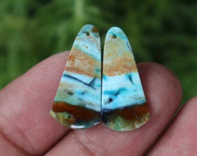 Indo Blue Opalized Wood PairOpalized Wood Pair
