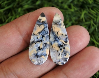Tiger Jasper Earring Pair