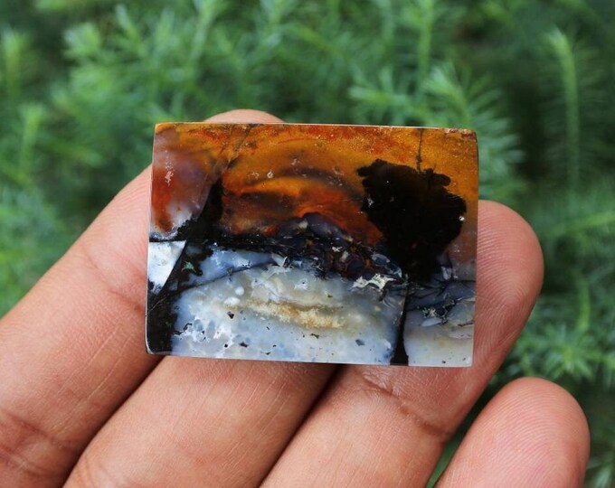 Opalized petrified wood