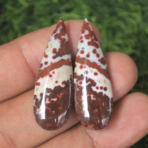 May include: Two teardrop-shaped gemstones with a polished finish. The stones feature a pattern of white, brown, and reddish-brown spots and bands. The gemstones are displayed against a blurred green background.