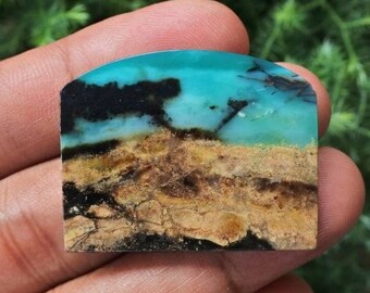 Scenic Blue Opalized Wood