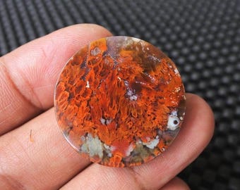 Plume Opalized Wood