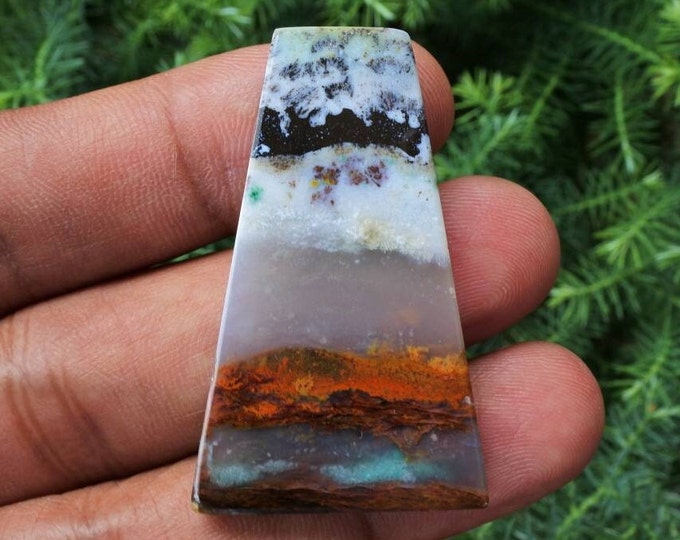 Multicolor Opalized wood
