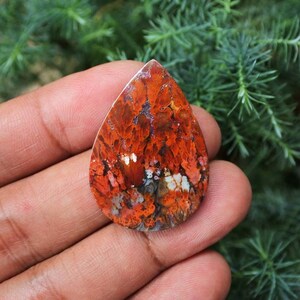 Plume Multicolor Opalized Petrified Wood
