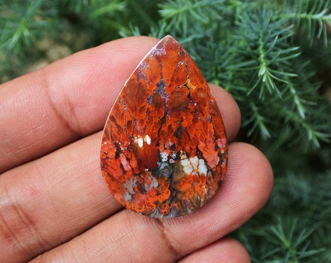 Plume Multicolor Opalized Petrified Wood