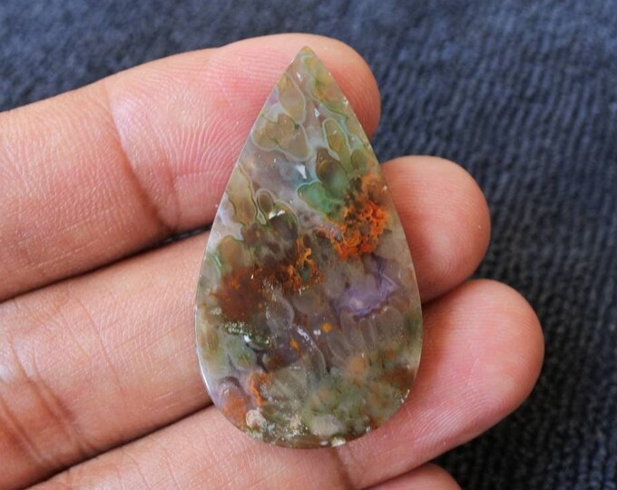 Plume Multicolor Opalized Petrified Wood