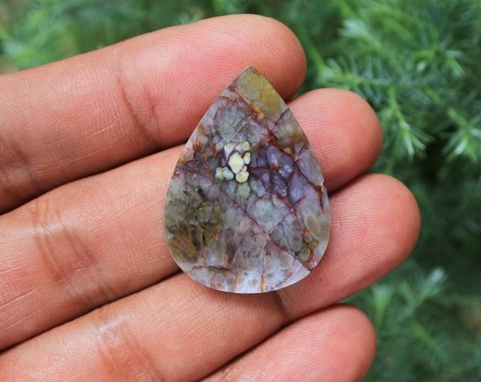 Plume Multicolor Opalized Petrified Wood