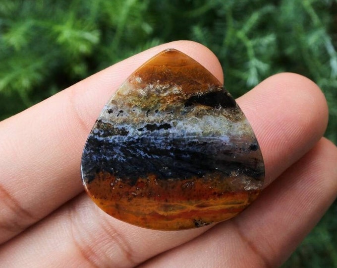 Scenic Multicolor Opalized wood