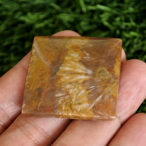 May include: A square-shaped polished stone cabochon featuring a warm colour palette of golden brown, tan, and cream. The surface displays intricate, feathery, and fibrous white inclusions that create a natural, swirling pattern across the flat face.