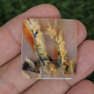 May include: A square-shaped gemstone with a polished surface. The stone features a pattern of branching, tree-like inclusions in shades of yellow, orange, and black against a translucent, light brown background. The gemstone is held in a hand.